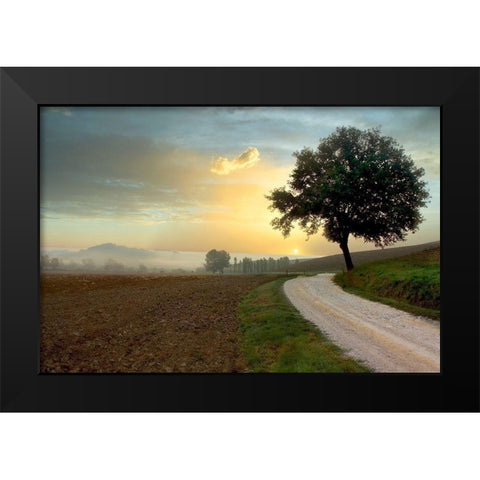 Tuscan Farm Road #1 Black Modern Wood Framed Art Print by Blaustein, Alan