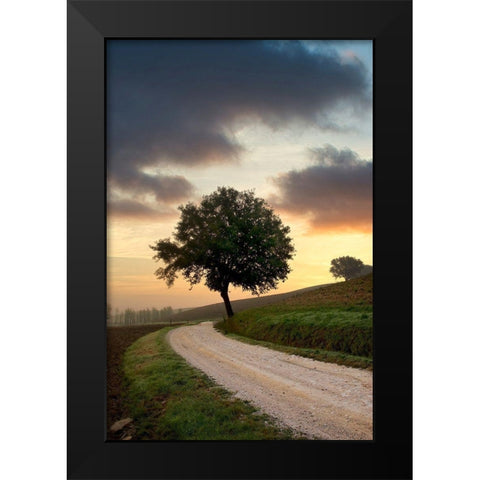 Tuscan Farm Road Sunrise #2 Black Modern Wood Framed Art Print by Blaustein, Alan