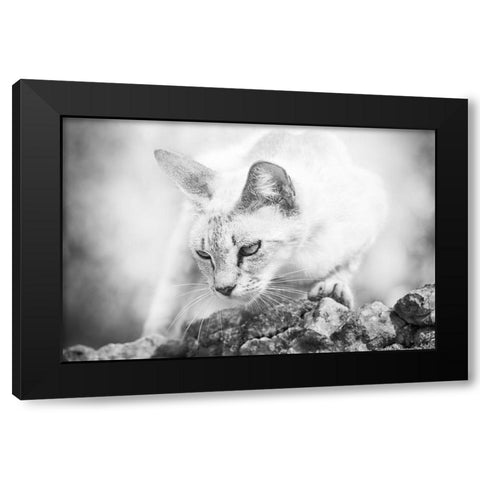 The Heart of a Lion Black Modern Wood Framed Art Print by Bertelli, Jon