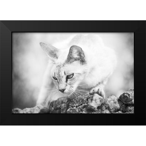 The Heart of a Lion Black Modern Wood Framed Art Print by Bertelli, Jon