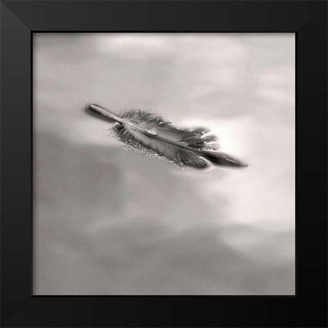 Feather on Liquid Sky Black Modern Wood Framed Art Print by Bell, Nicholas