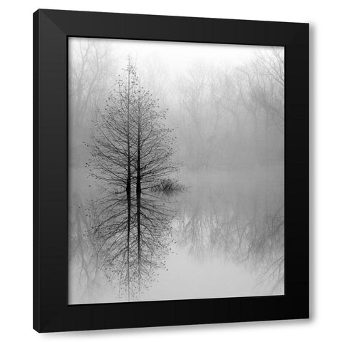 Lake Trees in Winter Fog Black Modern Wood Framed Art Print by Bell, Nicholas