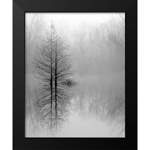 Lake Trees in Winter Fog Black Modern Wood Framed Art Print by Bell, Nicholas