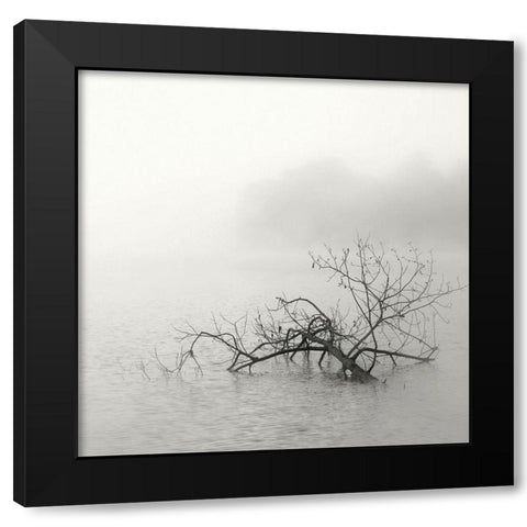 Zen Lake Black Modern Wood Framed Art Print by Bell, Nicholas
