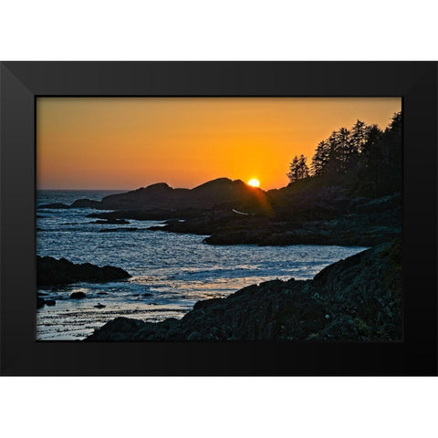 Last Peek Black Modern Wood Framed Art Print by Burdick, Chuck