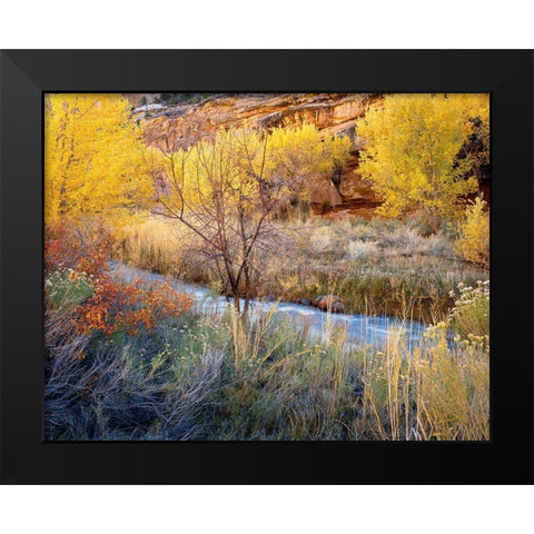 Autumn Chaos Along The Fremont Black Modern Wood Framed Art Print by Becia, Jim