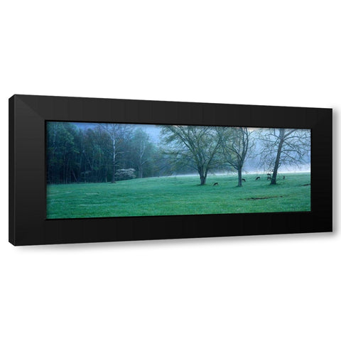 Foggy Morning and Deer Black Modern Wood Framed Art Print with Double Matting by Becia, Jim