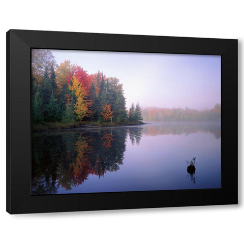 Foggy Morning Sunrise Black Modern Wood Framed Art Print by Becia, Jim