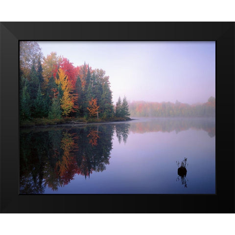 Foggy Morning Sunrise Black Modern Wood Framed Art Print by Becia, Jim