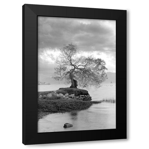 Coastal Oak Series No. 1 Black Modern Wood Framed Art Print by Blaustein, Alan