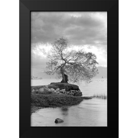 Coastal Oak Series No. 1 Black Modern Wood Framed Art Print by Blaustein, Alan