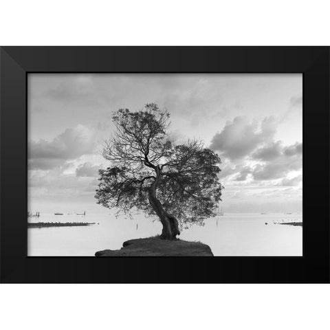 Coastal Oak Series No. 36 Black Modern Wood Framed Art Print by Blaustein, Alan