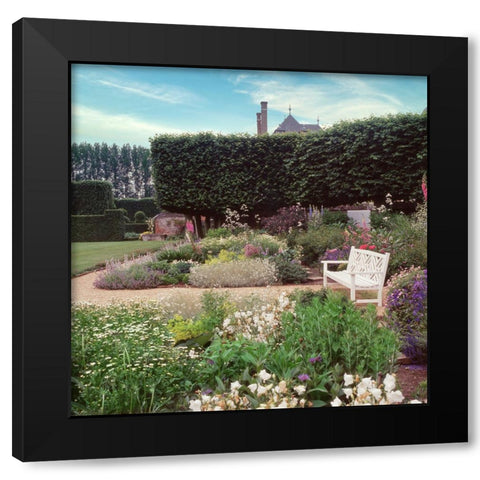 French Jardin No. 27 Black Modern Wood Framed Art Print with Double Matting by Blaustein, Alan