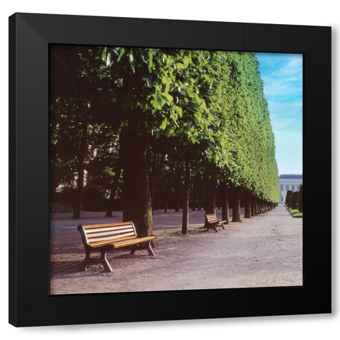 French Jardin No. 9 Black Modern Wood Framed Art Print with Double Matting by Blaustein, Alan