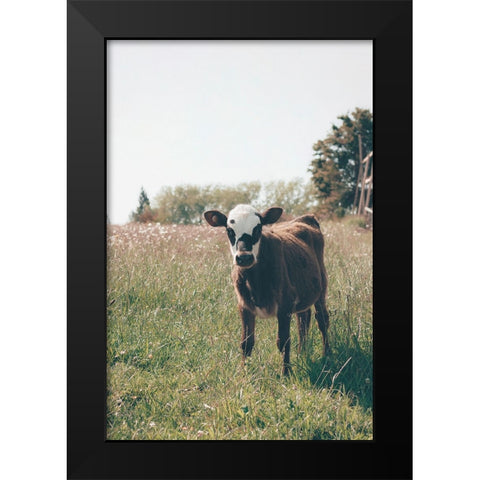 Lima Black Modern Wood Framed Art Print by Broadway, Krista