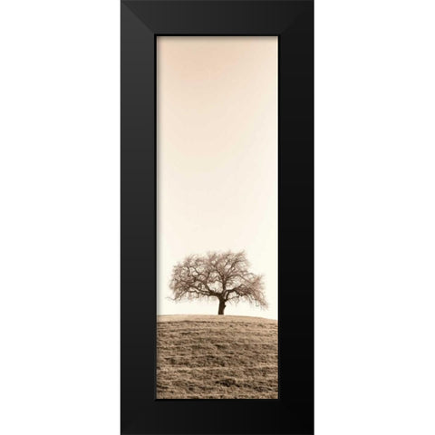 Lone Oak Tree Black Modern Wood Framed Art Print by Blaustein, Alan