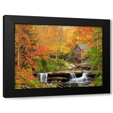 Autumn Splendor Black Modern Wood Framed Art Print by Carmel, Elizabeth