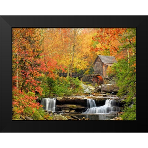 Autumn Splendor Black Modern Wood Framed Art Print by Carmel, Elizabeth