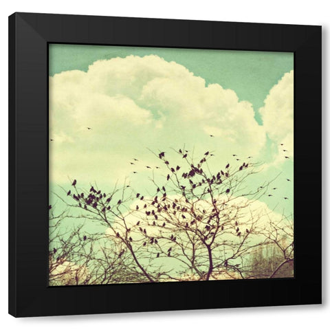 Birds of a Feather Black Modern Wood Framed Art Print with Double Matting by Coomes, Sylvia