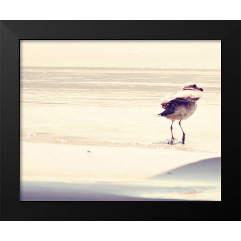 Bird at The Beach Black Modern Wood Framed Art Print by Coomes, Sylvia