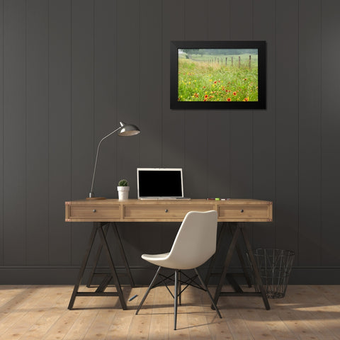 Flowers and Fence Black Modern Wood Framed Art Print by Connolly, Karin