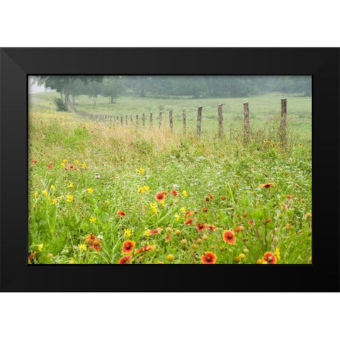 Flowers and Fence Black Modern Wood Framed Art Print by Connolly, Karin