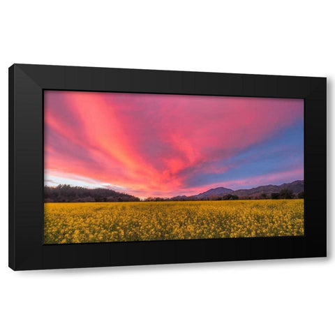 Spring Sunset Napa Valley Black Modern Wood Framed Art Print with Double Matting by Carmel, Elizabeth
