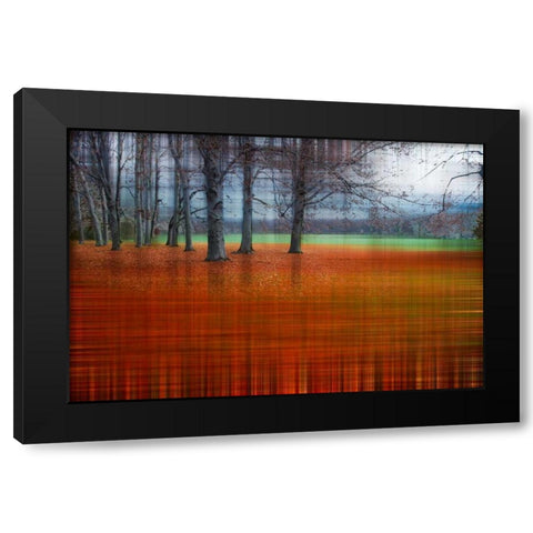 Abstract Autumn Black Modern Wood Framed Art Print by Cmarits, Hannes