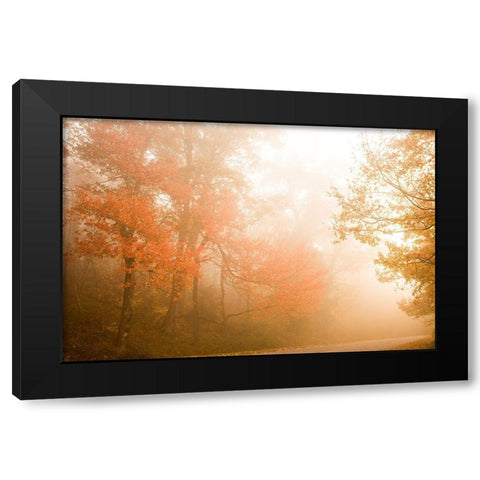 Beyond The Fog Black Modern Wood Framed Art Print with Double Matting by Connolly, Karin