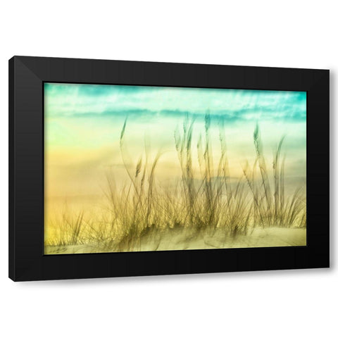 Delightful No. 2 Black Modern Wood Framed Art Print by Connolly, Karin