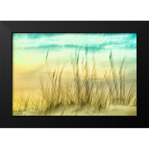 Delightful No. 2 Black Modern Wood Framed Art Print by Connolly, Karin