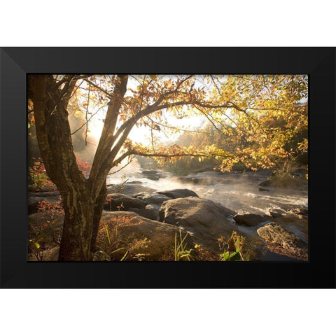 Georgia Fall Black Modern Wood Framed Art Print by Connolly, Karin