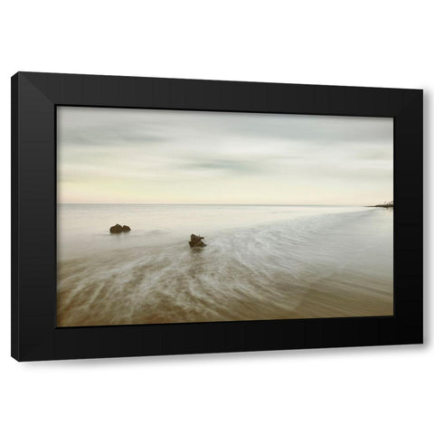 It Takes Two Black Modern Wood Framed Art Print by Connolly, Karin