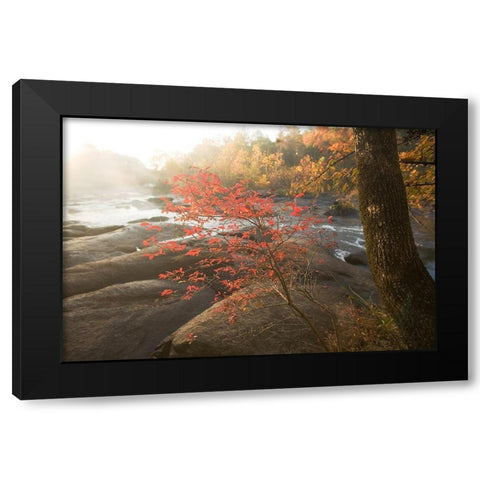 Little Red Black Modern Wood Framed Art Print with Double Matting by Connolly, Karin