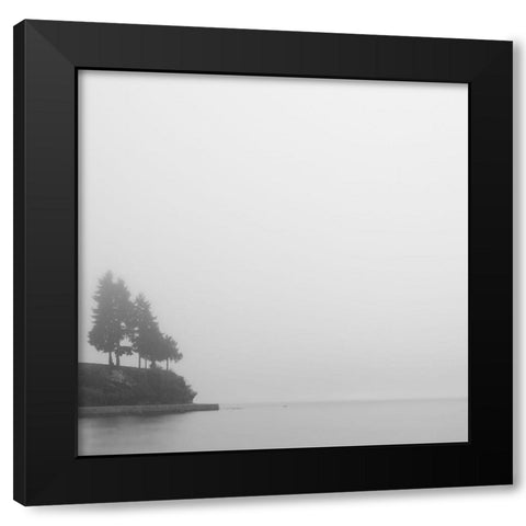 Foggy Coast 1 Black Modern Wood Framed Art Print by Colligan, Lynann