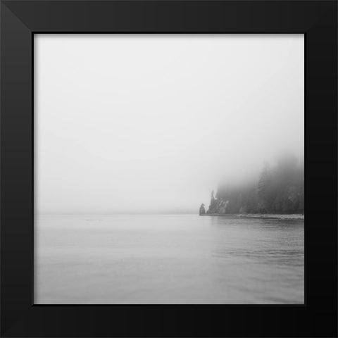 Foggy Coast 2 Black Modern Wood Framed Art Print by Colligan, Lynann