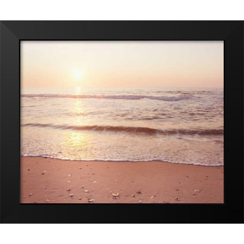 A New Beginning Black Modern Wood Framed Art Print by Cochrane, Carolyn