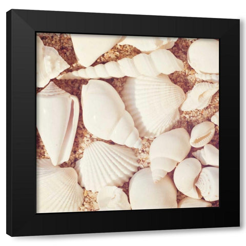 Beachcomber Black Modern Wood Framed Art Print with Double Matting by Cochrane, Carolyn