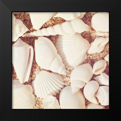 Beachcomber Black Modern Wood Framed Art Print by Cochrane, Carolyn