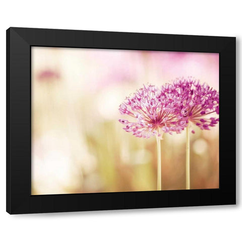 Bloom Black Modern Wood Framed Art Print by Cochrane, Carolyn