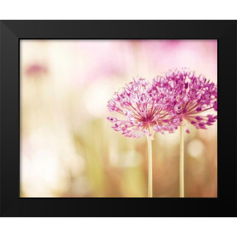 Bloom Black Modern Wood Framed Art Print by Cochrane, Carolyn