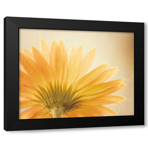 Butterscotch Black Modern Wood Framed Art Print by Cochrane, Carolyn