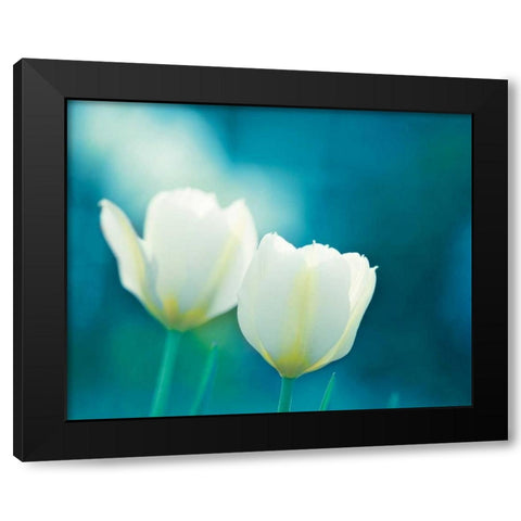 Charisma Black Modern Wood Framed Art Print by Cochrane, Carolyn