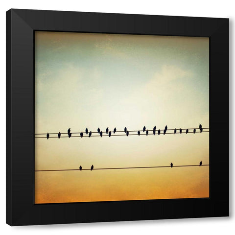 In Tune Black Modern Wood Framed Art Print by Cochrane, Carolyn