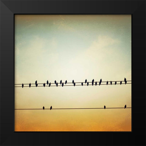 In Tune Black Modern Wood Framed Art Print by Cochrane, Carolyn