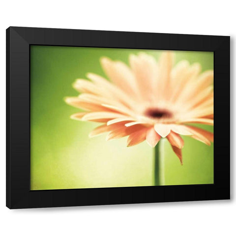 Joyful Black Modern Wood Framed Art Print by Cochrane, Carolyn