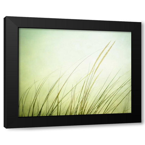 Just Breathe Black Modern Wood Framed Art Print with Double Matting by Cochrane, Carolyn