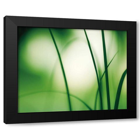 Natural Flow Black Modern Wood Framed Art Print by Cochrane, Carolyn