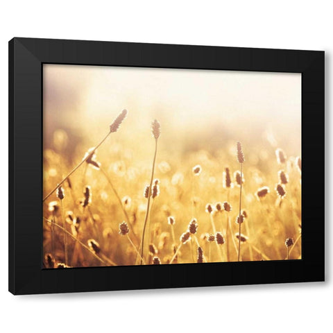 Nothing Gold Can Stay Black Modern Wood Framed Art Print with Double Matting by Cochrane, Carolyn