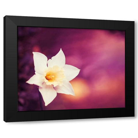 Outburst Black Modern Wood Framed Art Print with Double Matting by Cochrane, Carolyn